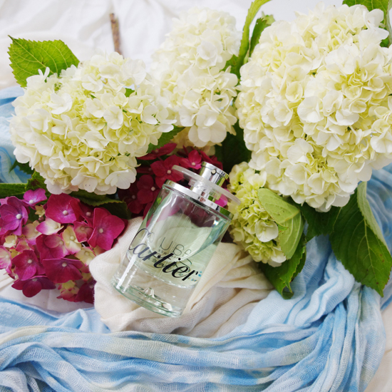 Eau De Cartier Concentree / オー・ドゥ・カルティエ・コンセントレ