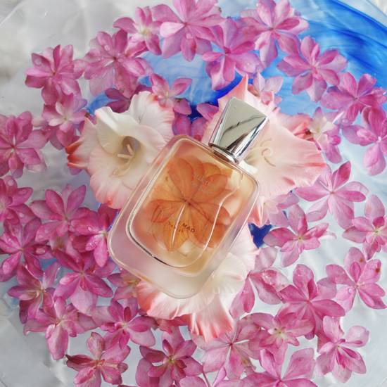 Stilettos on Lex / スティレット・オン・レックス