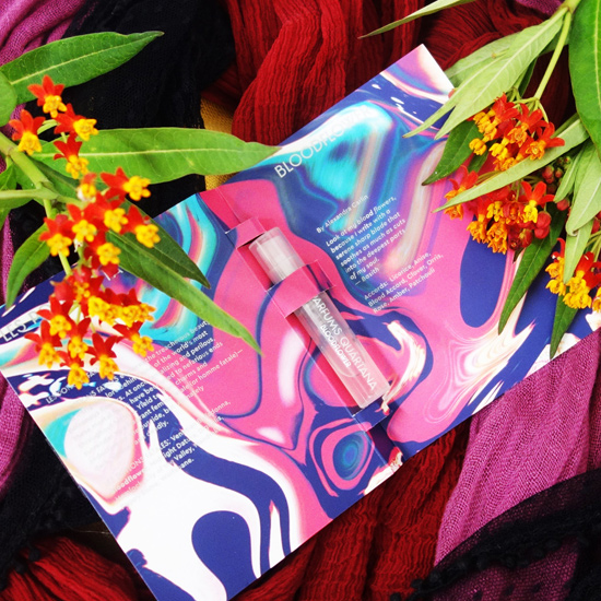 �uDigitalis�v�̉摜��������